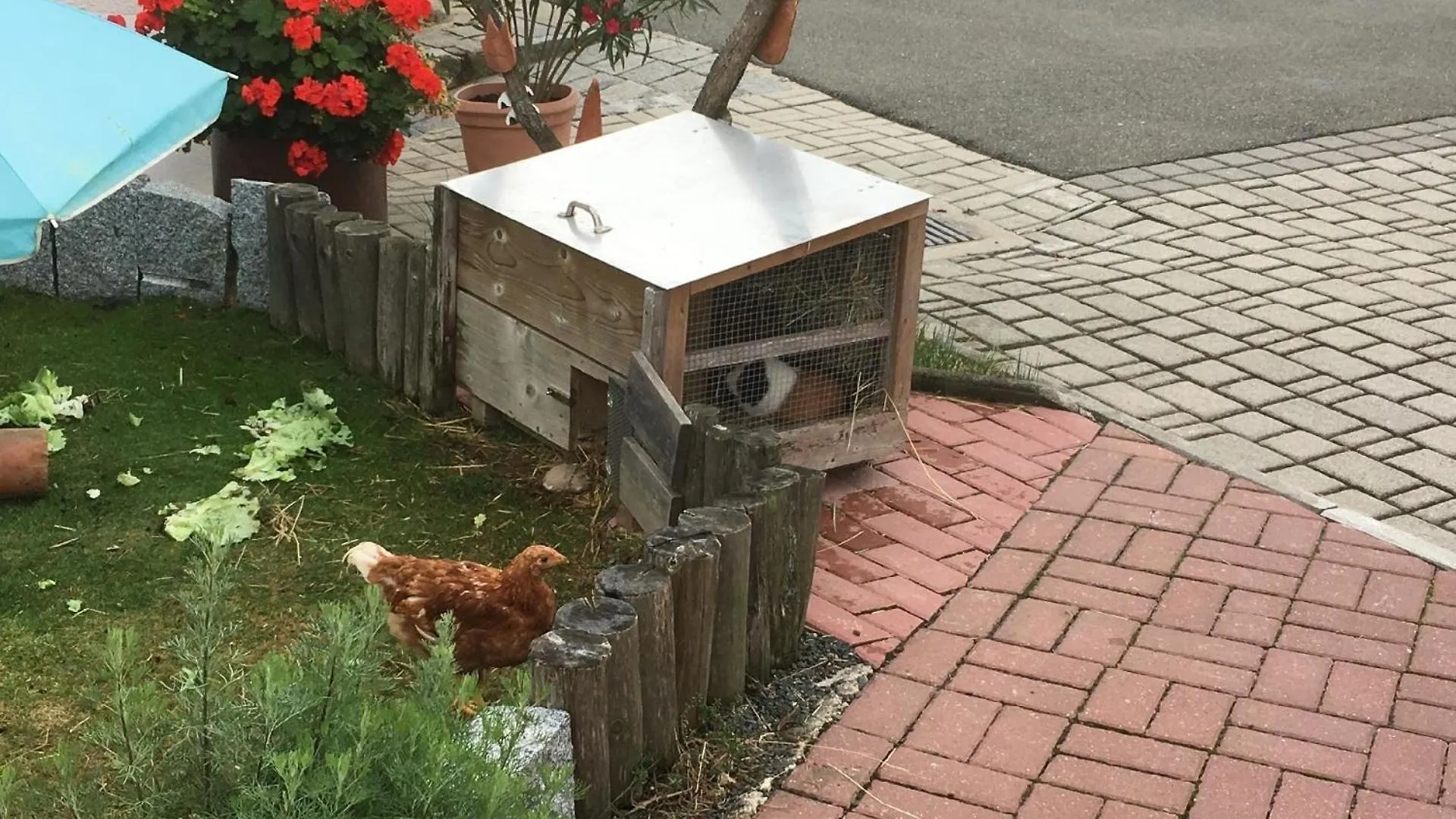 Komfortables Ferienhaus Im Bayerischen Wald Am Alpakahof Mit Saunahaus Waldmuenchen 0*,  Germany